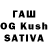 Канабис White Widow Voloshin Ivan