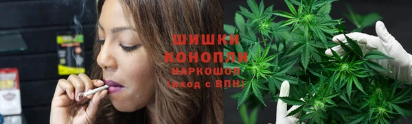 хмурый Корсаков