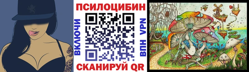 Псилоцибиновые грибы Magic Shrooms  купить наркотик  Кондрово 
